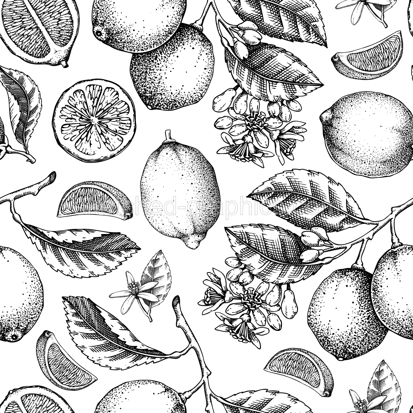 Citrus fruit seamless pattern. Lime fruit classic style sketches. Botanical background. Exotic plants and flowers texture. Hand drawn vector illustration. NOT AI generated Illustration